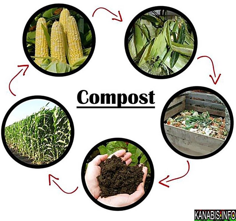 kompost-609315.jpg