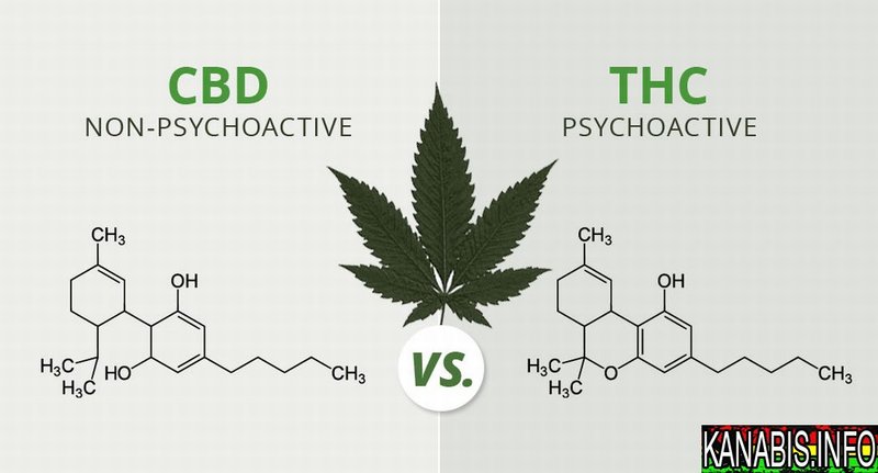 cbd-vs-thc.jpg