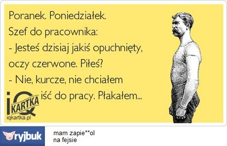 poranek-poniedzialek-jpg.jpg