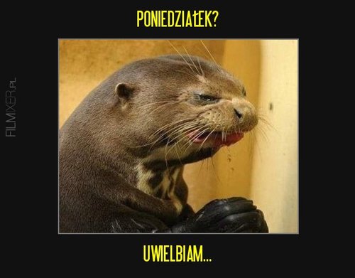 Poniedzialek,Nie-lubie-poniedzialku,3431_zopisem.jpg