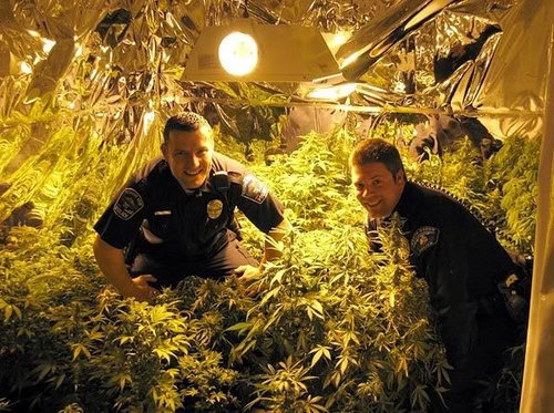 policja-marihuana.jpg