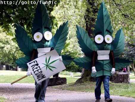 legalizacja marihuany.jpg