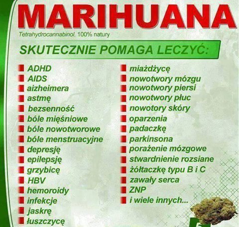 marihuana-skutecznie pomaga leczyc.jpg