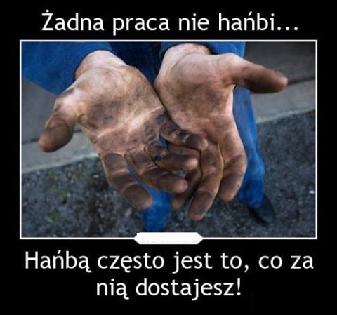 żadna praca nie hańbi.jpg