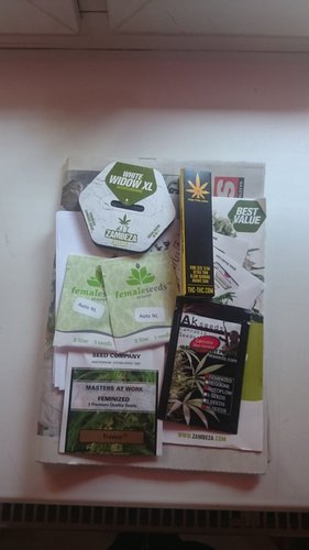 moje-zakupy-sklep-thc-thc.jpg