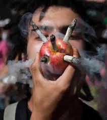 palenie-marihuany-jabłko.jpg