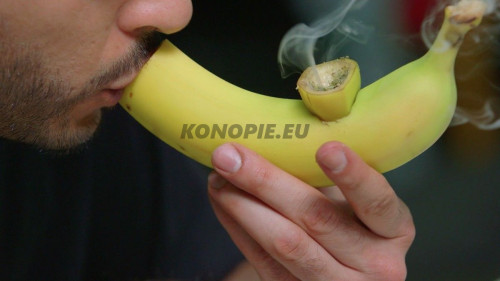 palenie-marihuany-z-banana-3-500x281.jpg