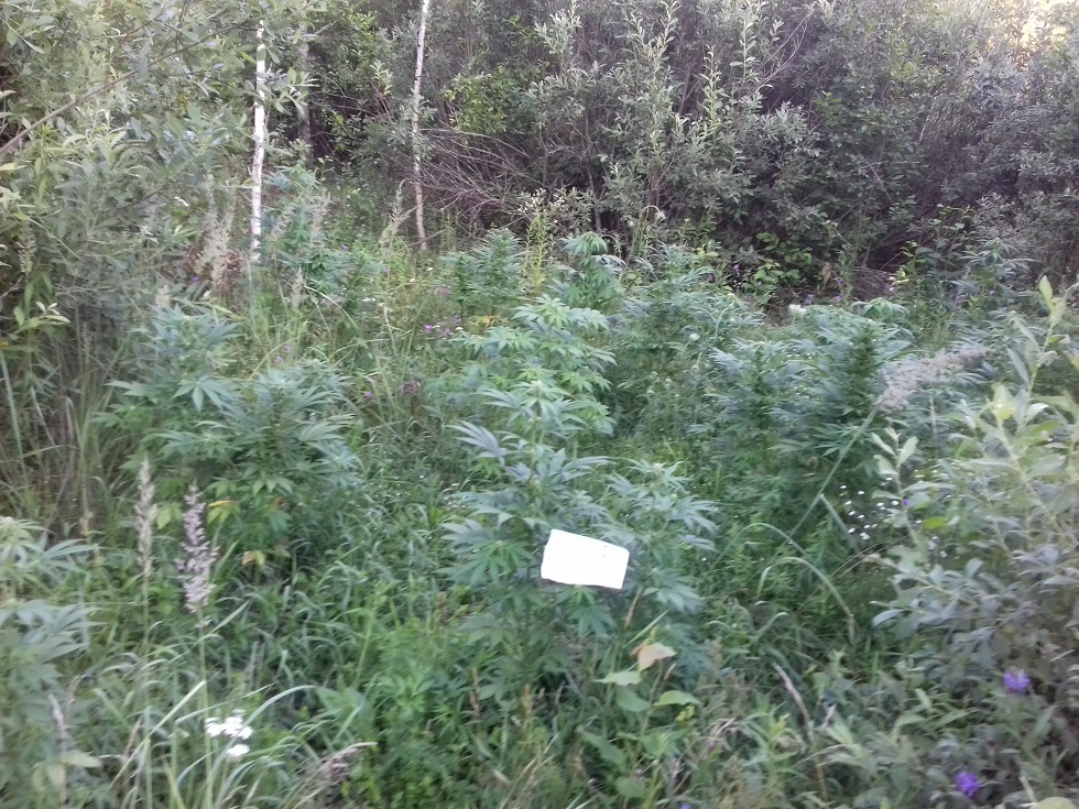 20160522_074419.jpg