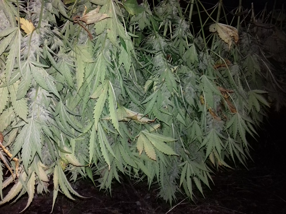 20160613_083431.jpg