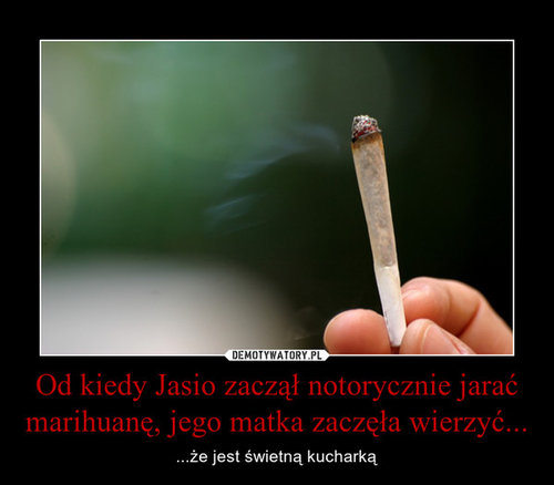 Jasio_marihuana.jpg