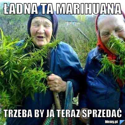 0a02513834_ladna_ta_marihuana.jpg
