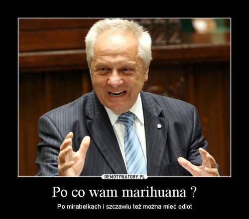 Po co wam marihuana.jpg