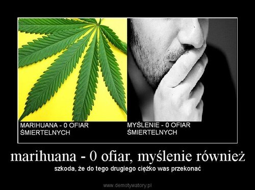 Marihuana zero ofiar.jpg