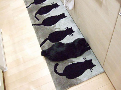 ninja-cats-2-16__605.jpg