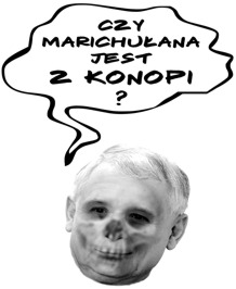 kaczynski_marihuana.jpg